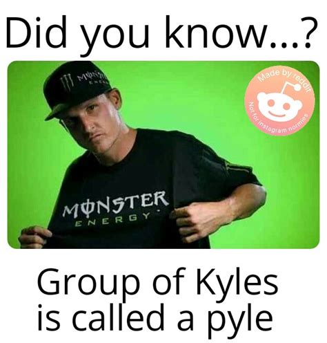 kyle monster memes|free kyle meme.